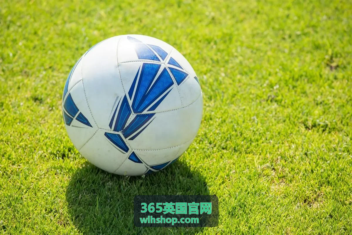 365英国官网票档与报名说明现场票线上票选择参考